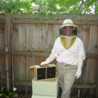 Thumbnail image for Get The Buzz On Beekeeping!